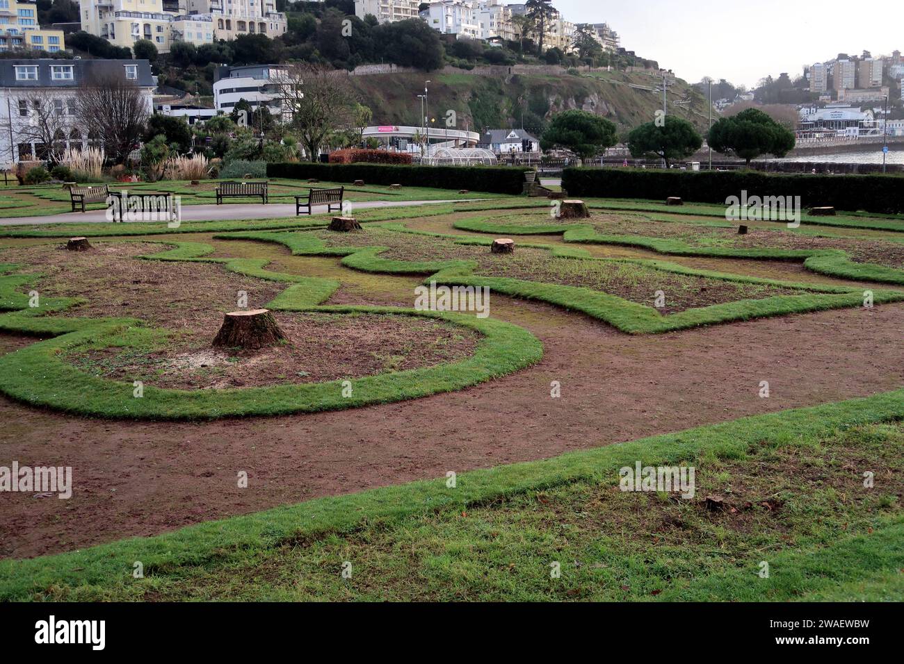 Les souches des palmiers emblématiques des jardins d'Abbey Park (jardins italiens) sur le front de mer de Torquay. Banque D'Images