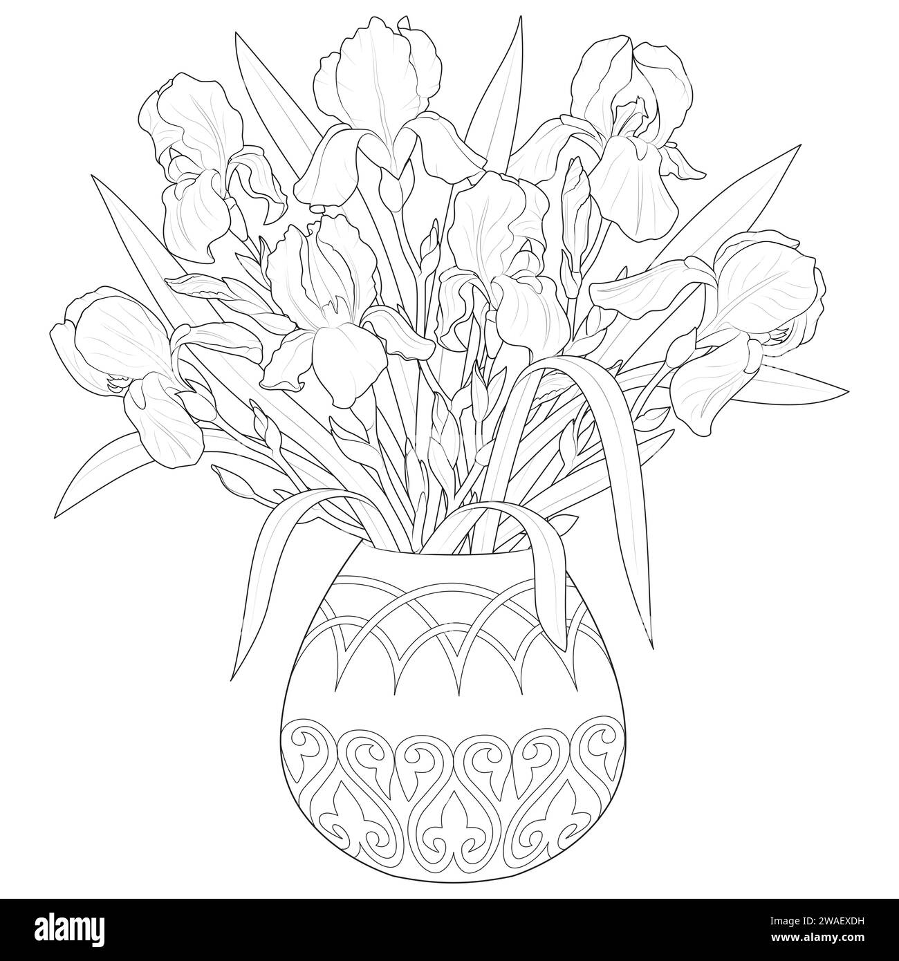 Vase avec iris page de coloriage noir et blanc pour enfants et adultes. Iris, fleurs printanières. Bouquet dans un vase. Illustration vectorielle Illustration de Vecteur