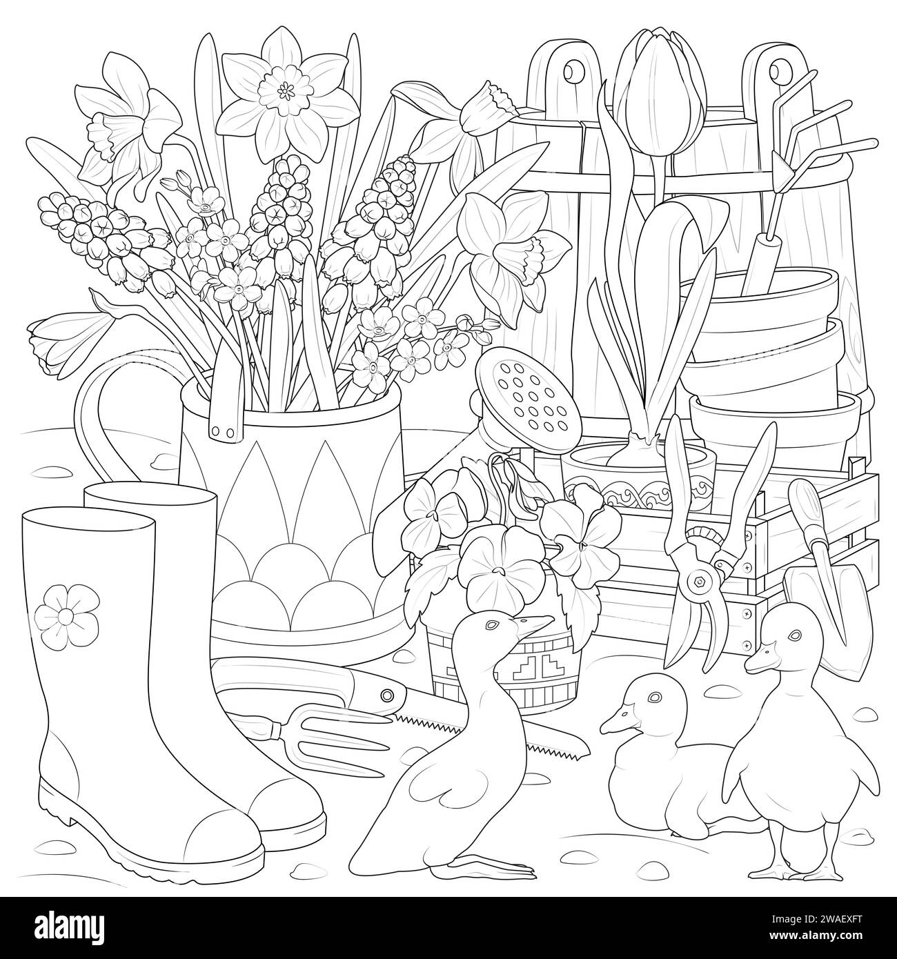 Jardin de printemps avec vecteur canetons. Les canetons jouent dans le jardin. Bouquet dans un arrosoir. Outils de jardinage. Fleurs dans un pot. Coloriage art thérapie pour les enfants et les adultes. Illustration de Vecteur