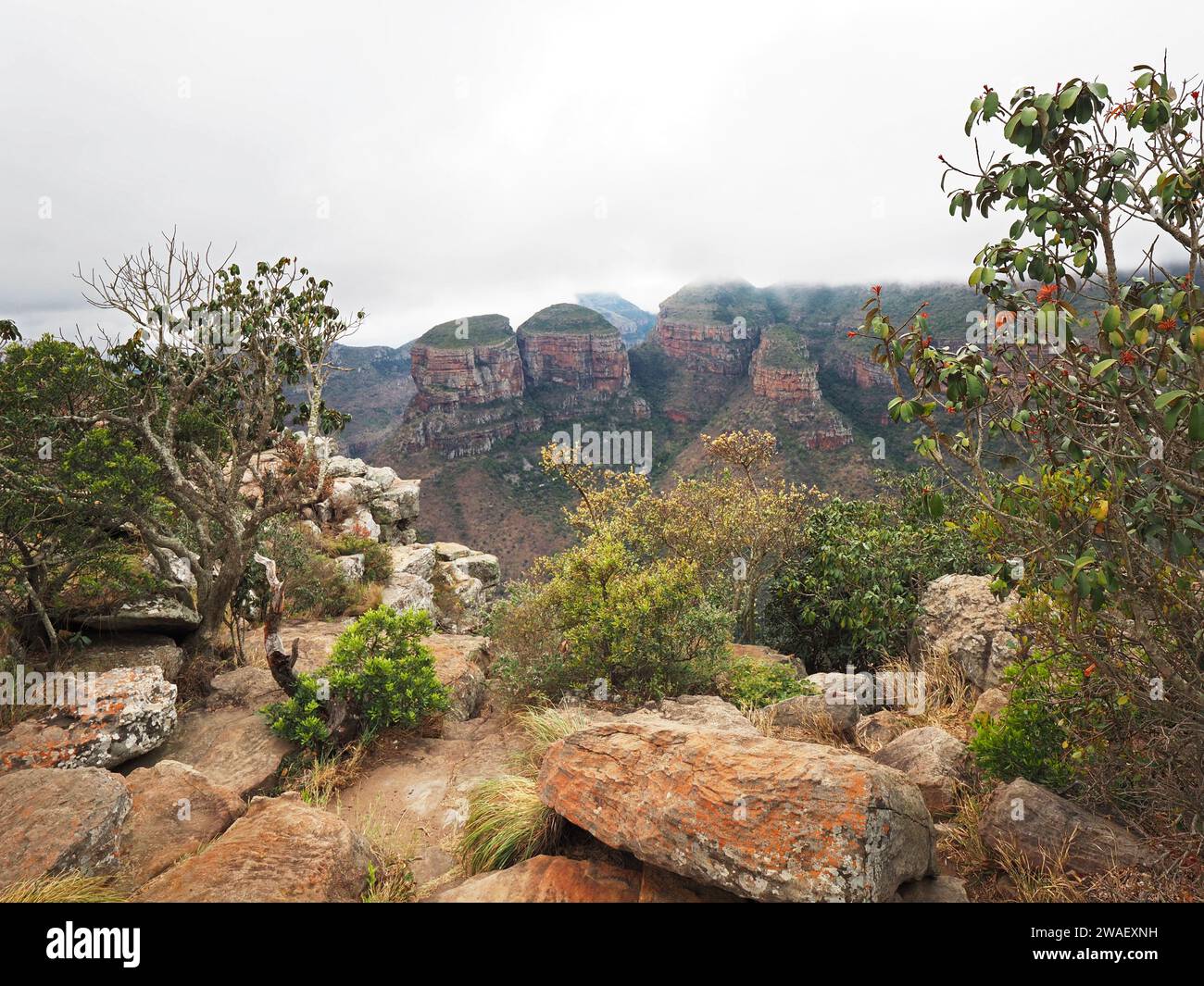 Les trois rondavels dans Blyde River Canyon avec des nuages suspendus bas, sur la route panoramique dans la province de Mpumalanga, Afrique du Sud. Banque D'Images Les trois rondavels dans Blyde River Canyon avec des nuages suspendus bas, sur la route panoramique dans la province de Mpumalanga, Afrique du Sud. Banque D'Images