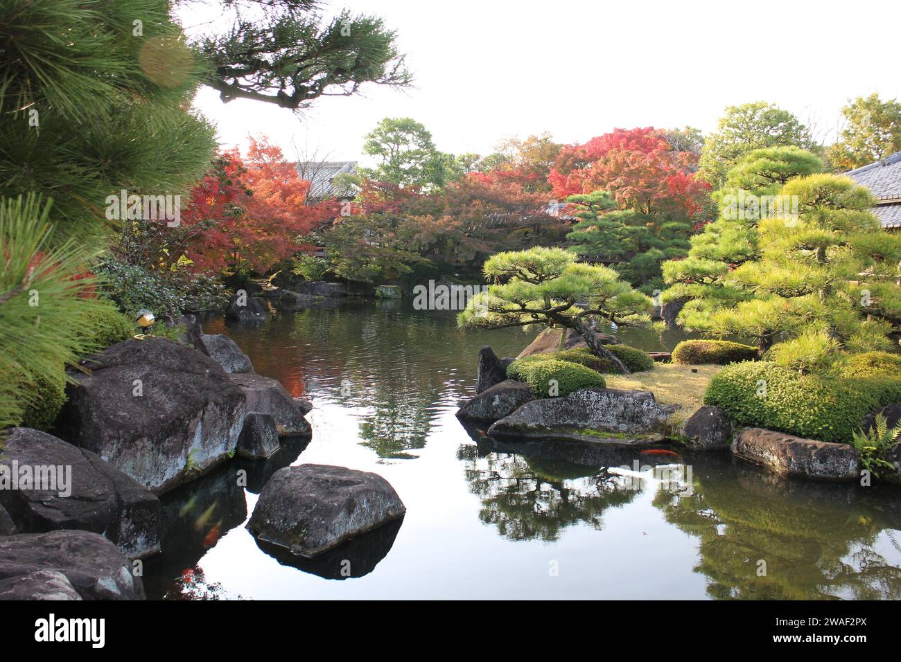 Feuilles d'automne et étang dans le jardin de la Résidence du Seigneur dans le jardin de Koko-en, Himeji, Japon Banque D'Images