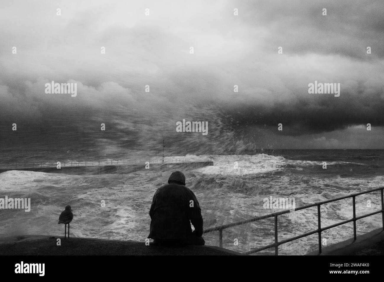 Waiting for Fish | Porthleven Pier à Storm Ciaran, Cornouailles, Royaume-Uni octobre 2023 Banque D'Images