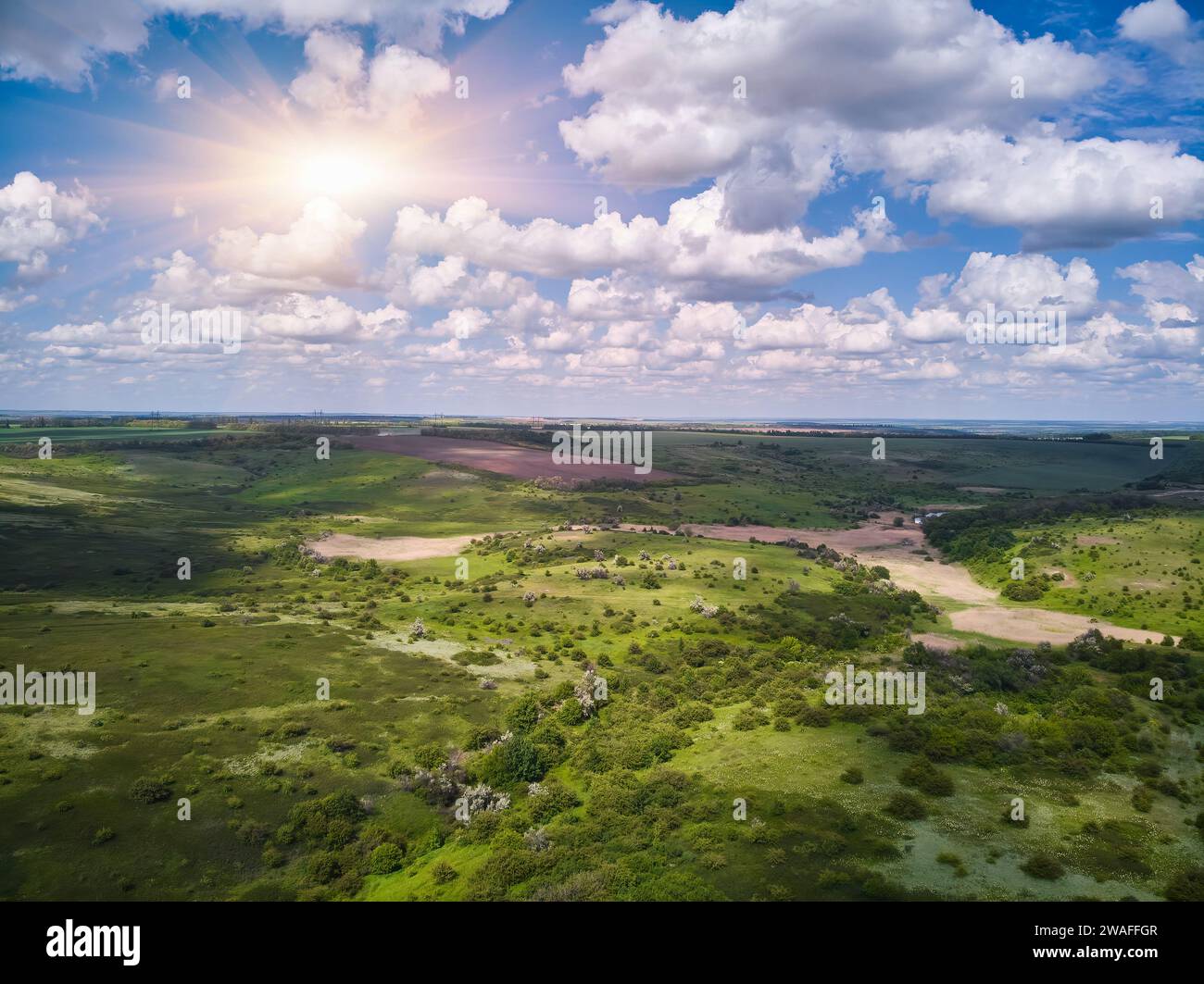 Splendide photographie aérienne de champs ondulés verts par temps ensoleillé. Vue de dessus tir de drone. Zone agricole de l'Ukraine, Europe. Concept de l'industrie agraire. Banque D'Images
