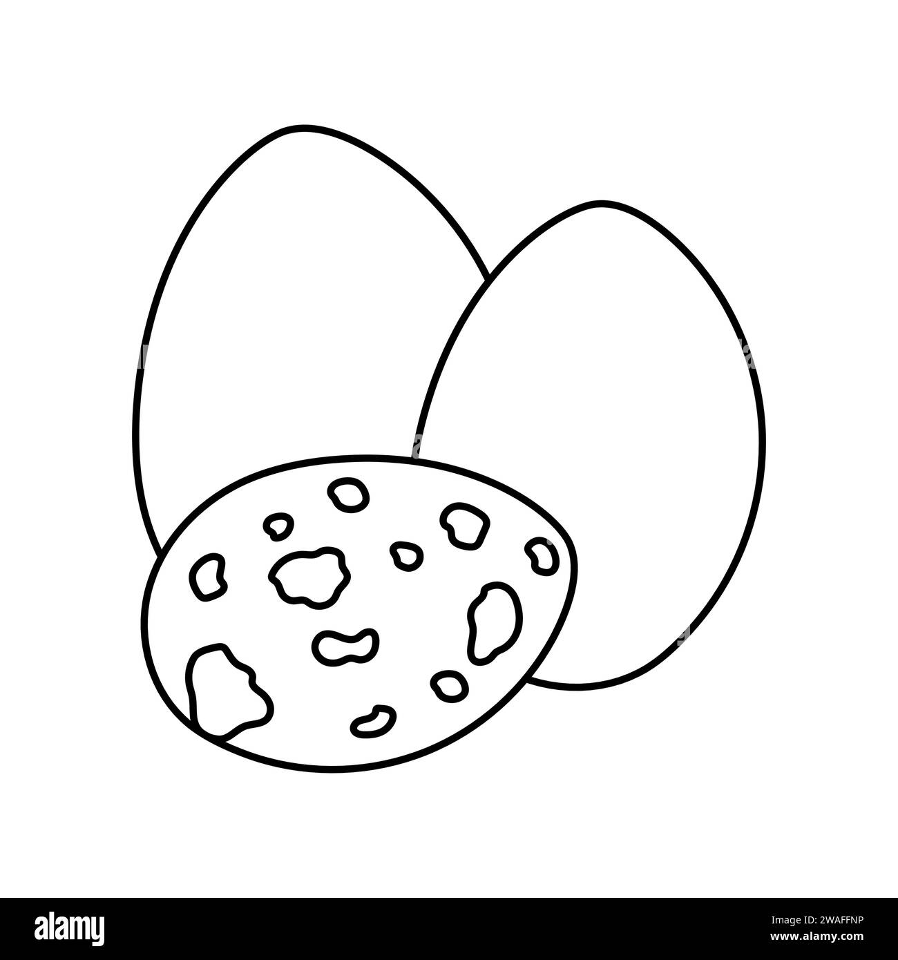 Œufs dessinés à la main : élément de couleur poulet et caille. Nourriture non transformée de bande dessinée. Illustration vectorielle isolée. Illustration de Vecteur