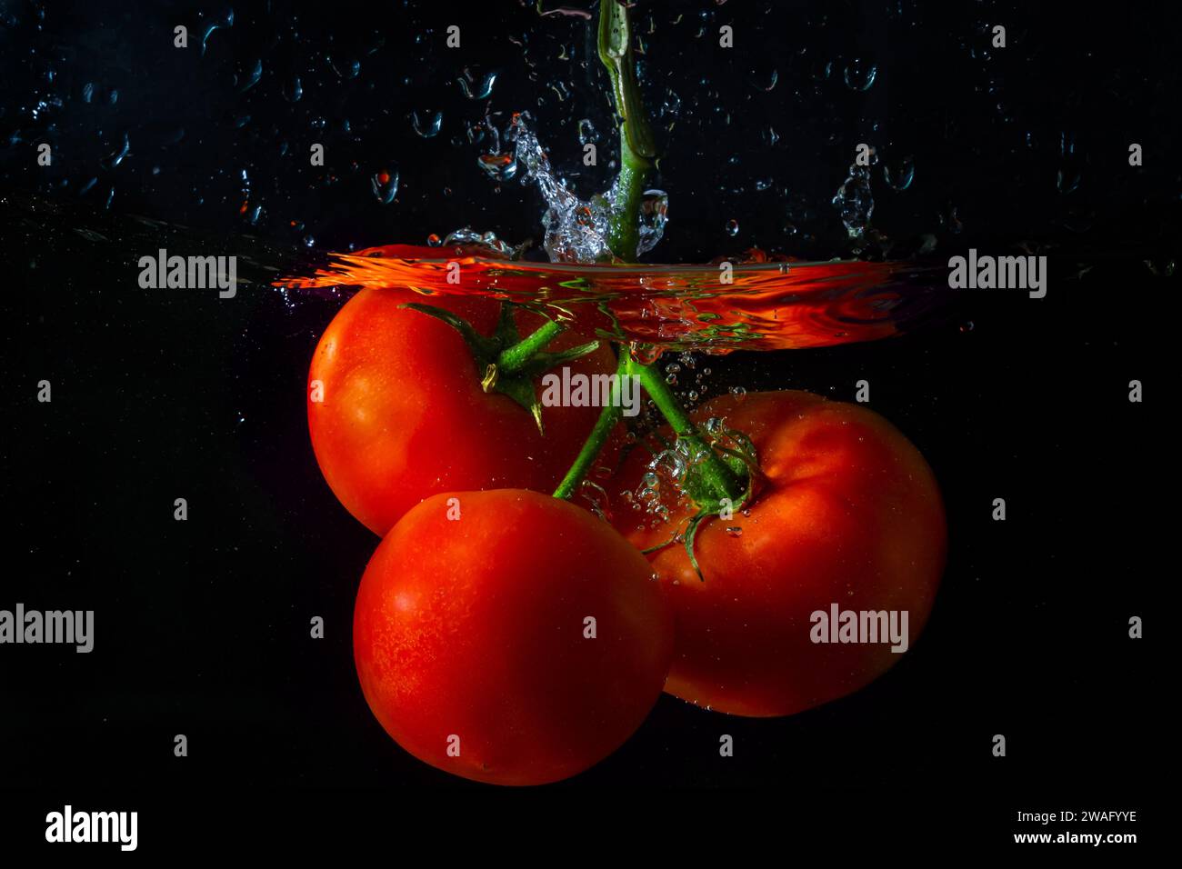 Tomate rouge fraîche tombant dans l'eau avec des éclaboussures d'eau et des bulles d'air isolées sur fond noir. Banque D'Images