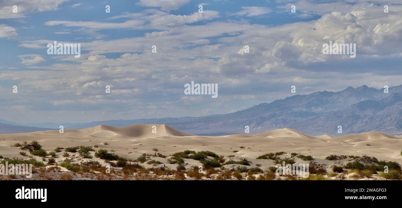 Dunes de sable dans la vallée de la mort Banque D'Images