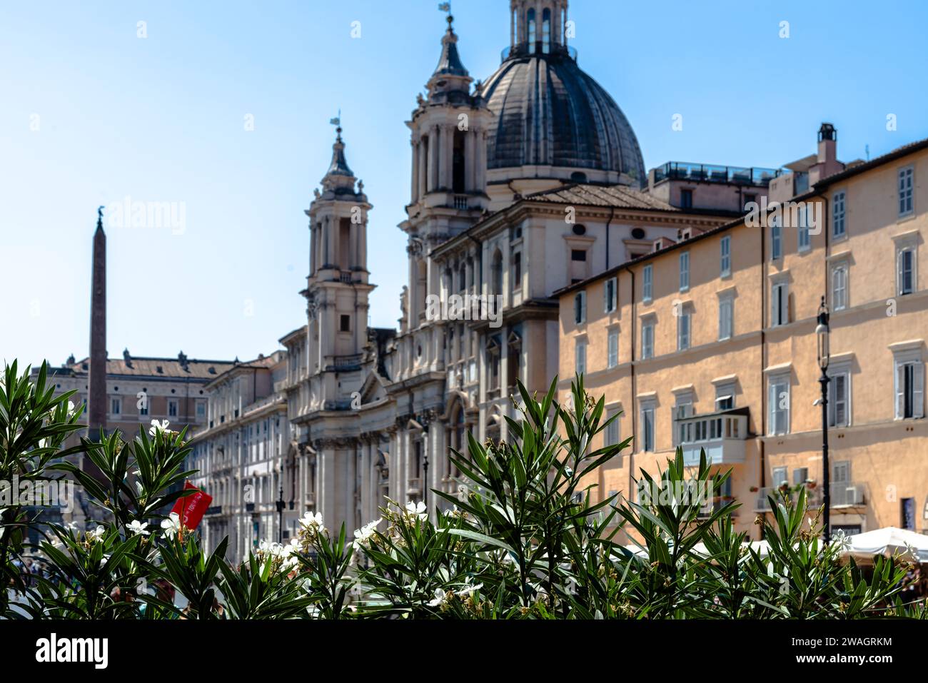 Plantes sur la Piazza Navona à Rome Banque D'Images