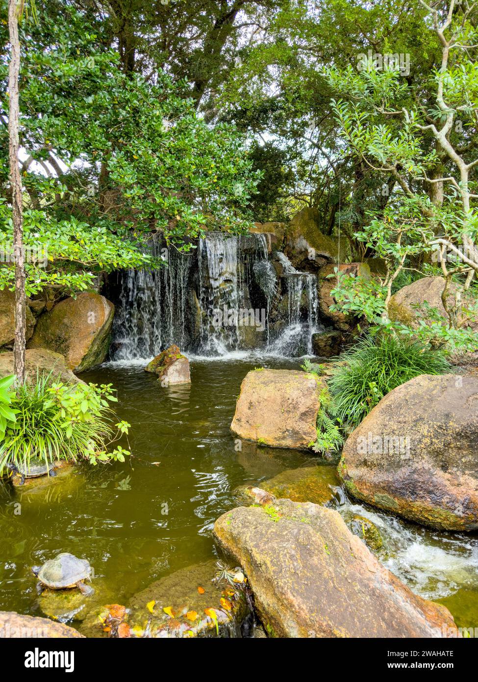 Belle photo de cascade sereine Banque D'Images