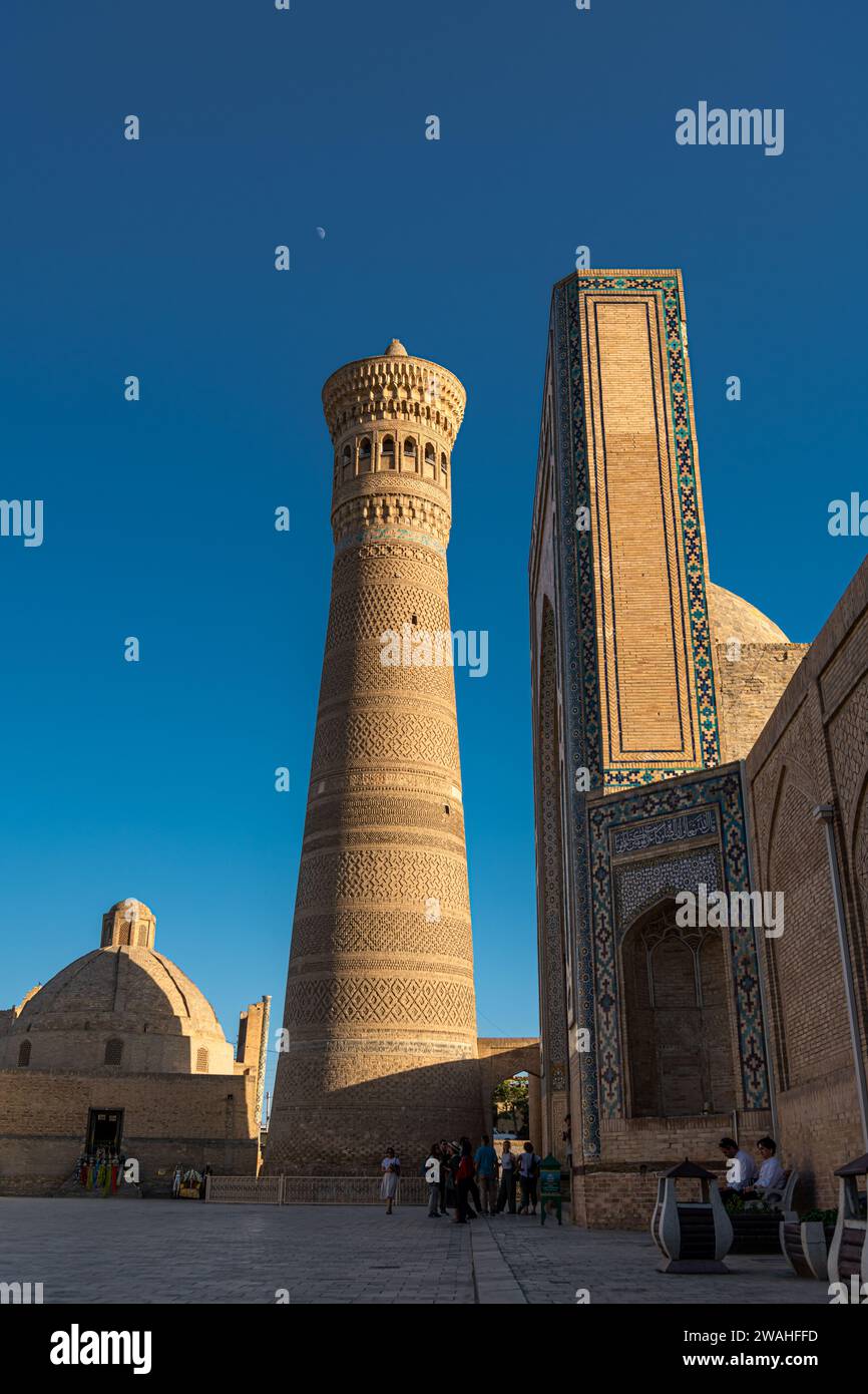 27 JUIN 2023, BOUKHARA, OUZBÉKISTAN : vue sur la mosquée POI Kalon et le minaret au coucher du soleil, à Boukhara, Ouzbékistan. Image verticale avec espace de copie f Banque D'Images