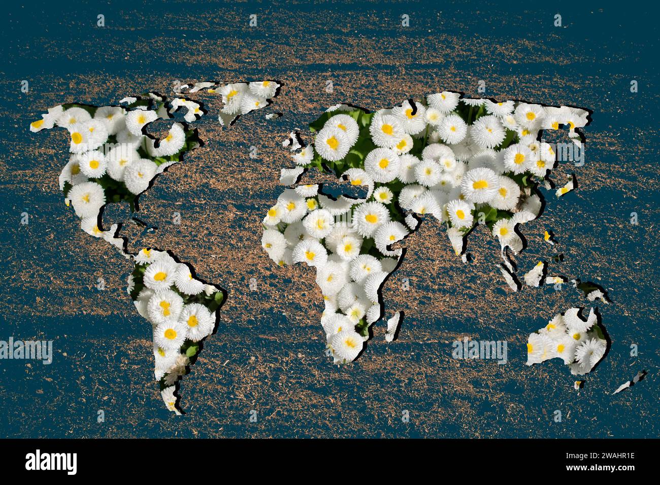 Environ esquissé carte du monde avec remplissage de fleurs Banque D'Images