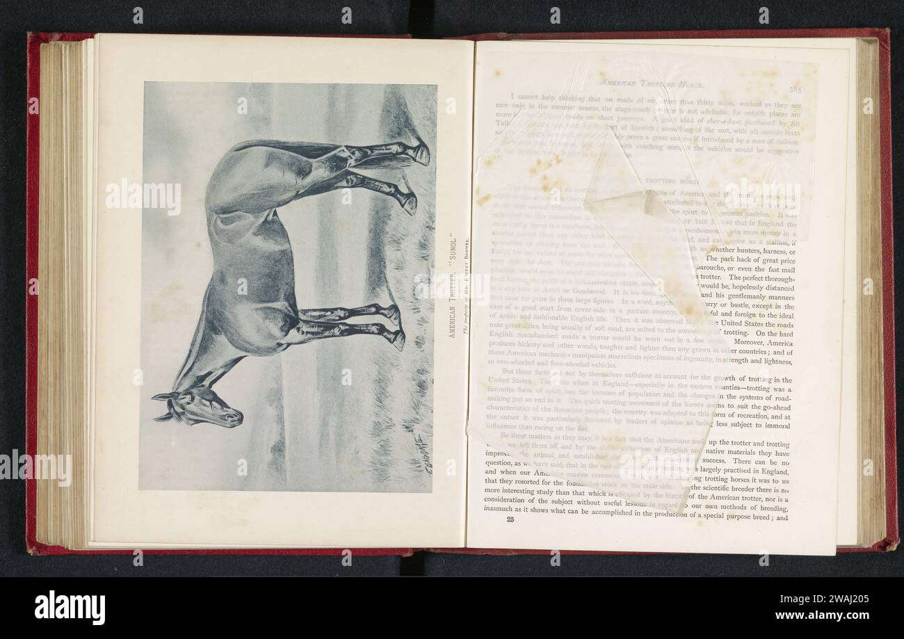 Production photographique d'une peinture d'un cheval, probablement un trotteur américain, par Frank Babbage, anonyme, d'après Frank Babbage, c. 1883 - dans ou avant 1893 tirage photomécanique papier de cheval collotype Banque D'Images