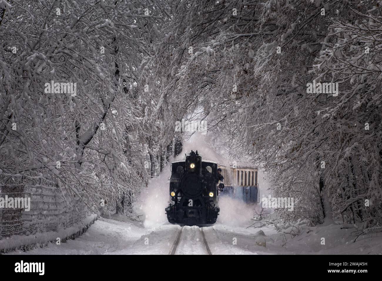 Budapest, Hongrie - Belle scène de forêt d'hiver avec neige, forêt enneigée et vieux moteur de réservoir nostalgique (train pour enfants) sur la piste dans la Buda Banque D'Images