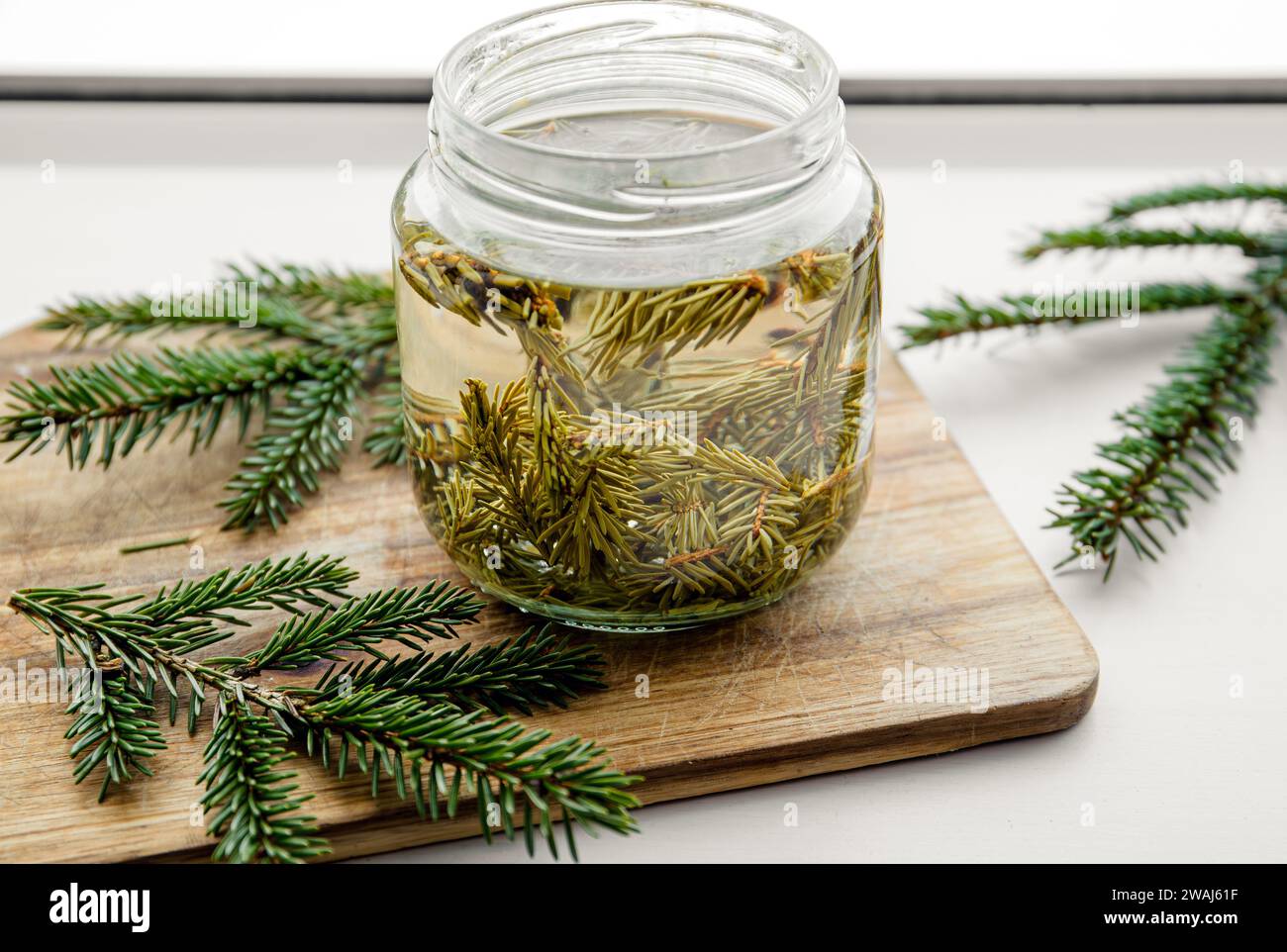 Fabrication de sirop d'aiguilles fraîches de Picea d'épinette. Bocaux en verre avec des aiguilles infusées avec de l'eau dans la cuisine à la maison. Banque D'Images