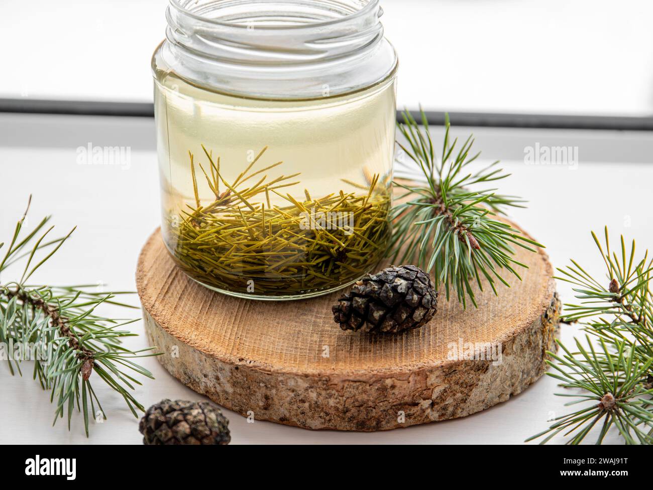 Fabrication de sirop d'aiguilles de pin frais. Bocaux en verre avec des aiguilles infusées avec de l'eau dans la cuisine à la maison. Banque D'Images
