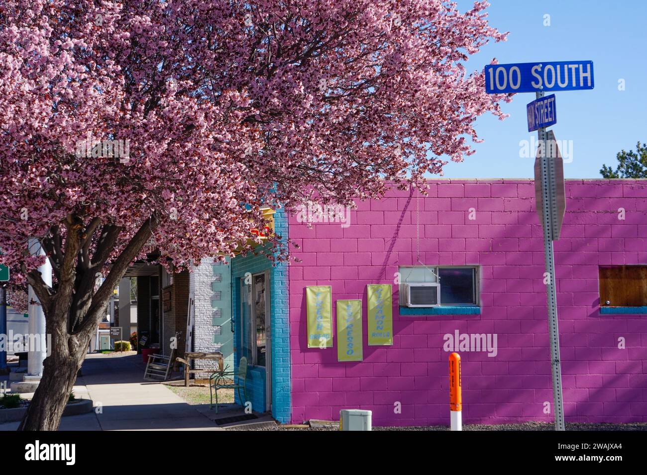 Un café de couleur rose et boulangerie sur la rue principale dans la petite ville rurale de Blanding, Utah, USA au printemps. Fleur de cerisier rose assortie. Lumière du soleil Banque D'Images