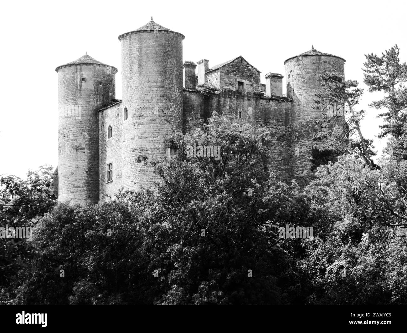 Une tour majestueuse du château est entourée d'un feuillage luxuriant et vert à son sommet, offrant une vue pittoresque sur le paysage environnant Banque D'Images