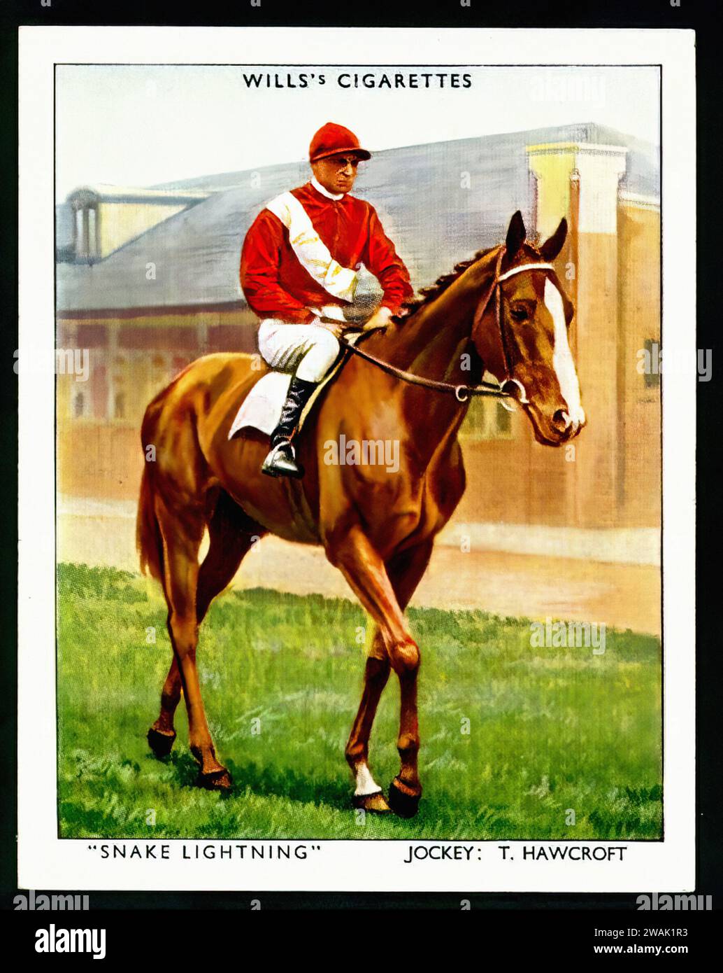 Snake Lightning - Illustration de carte de cigarette vintage, courses de chevaux Banque D'Images