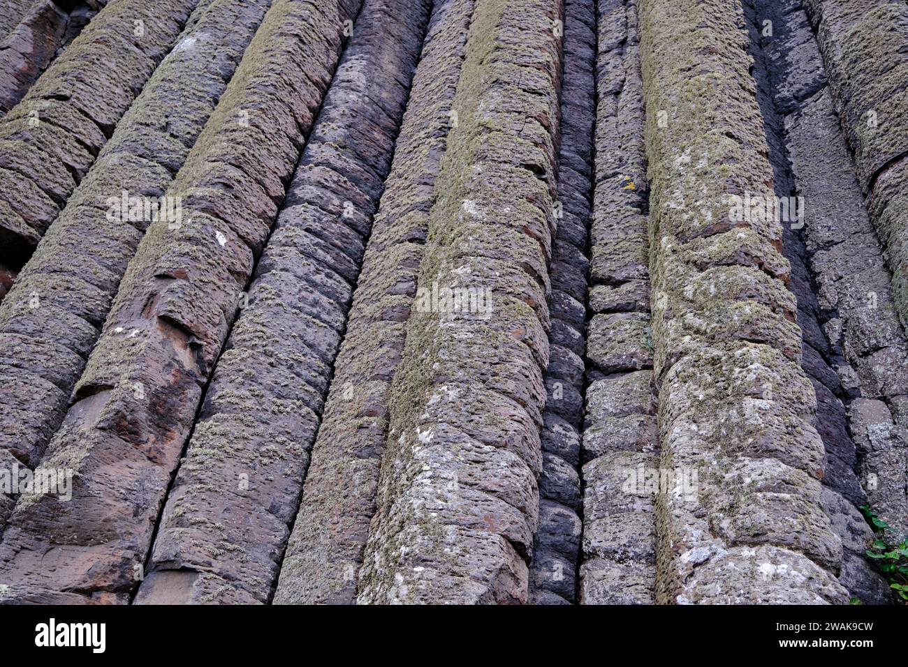 Royaume-Uni, Irlande du Nord, comté d'Antrim, chaussée des géants, site du patrimoine mondial de l'UNESCO Banque D'Images
