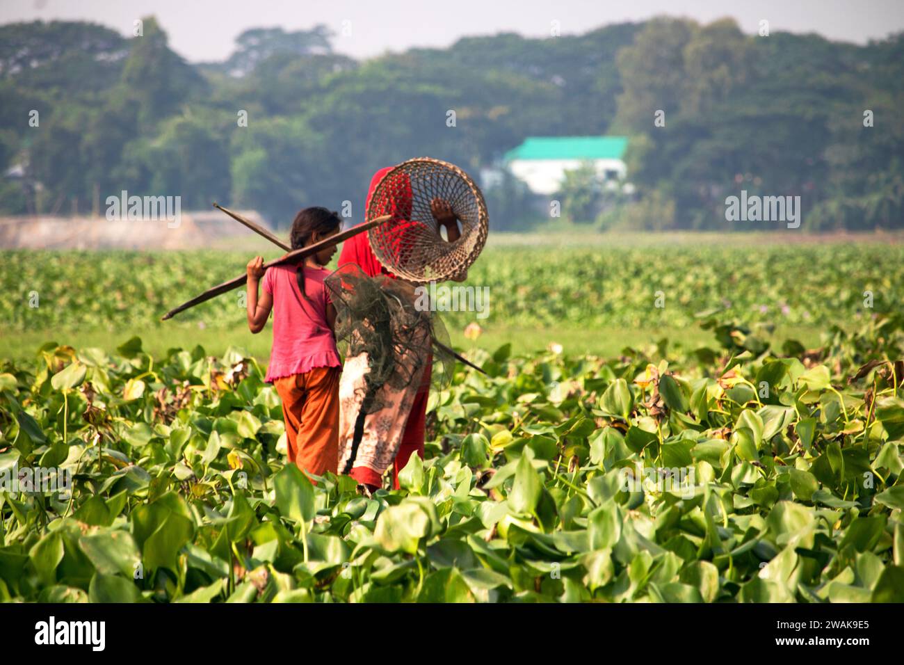 Nabinagar Bangladesh-5 novembre 2023, femmes de village pêchant avec le polo. Mode de vie quotidien des sans-abri au Bangladesh. Banque D'Images