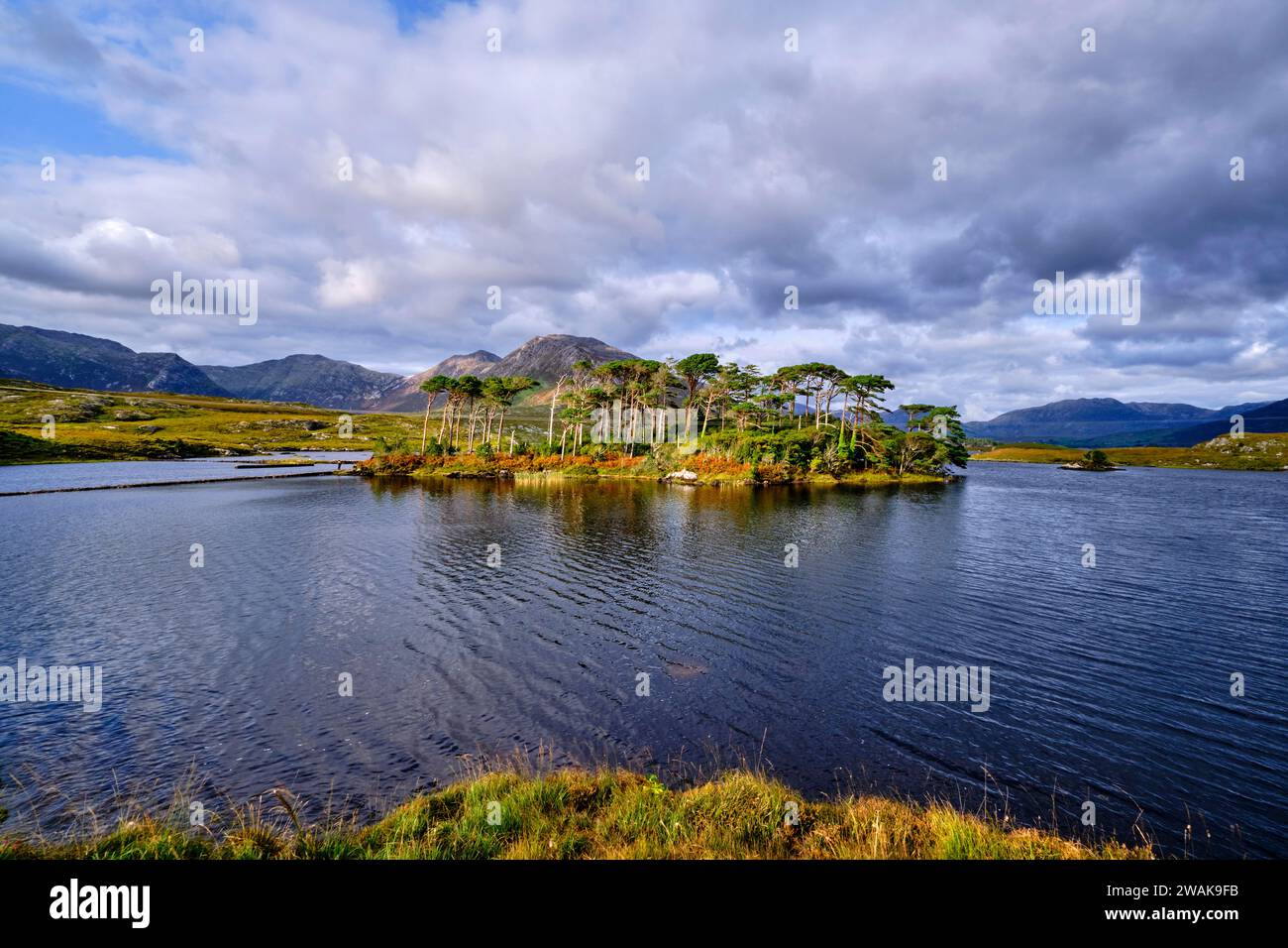 République d'Irlande, comté de Galway, parc national du Connemara, une île sur le lac Derryclare, Twelve Bens en arrière-plan Banque D'Images