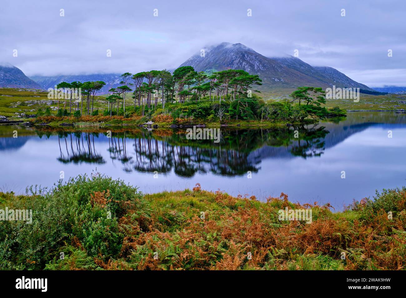 République d'Irlande, comté de Galway, parc national du Connemara, une île sur le lac Derryclare, Twelve Bens en arrière-plan Banque D'Images