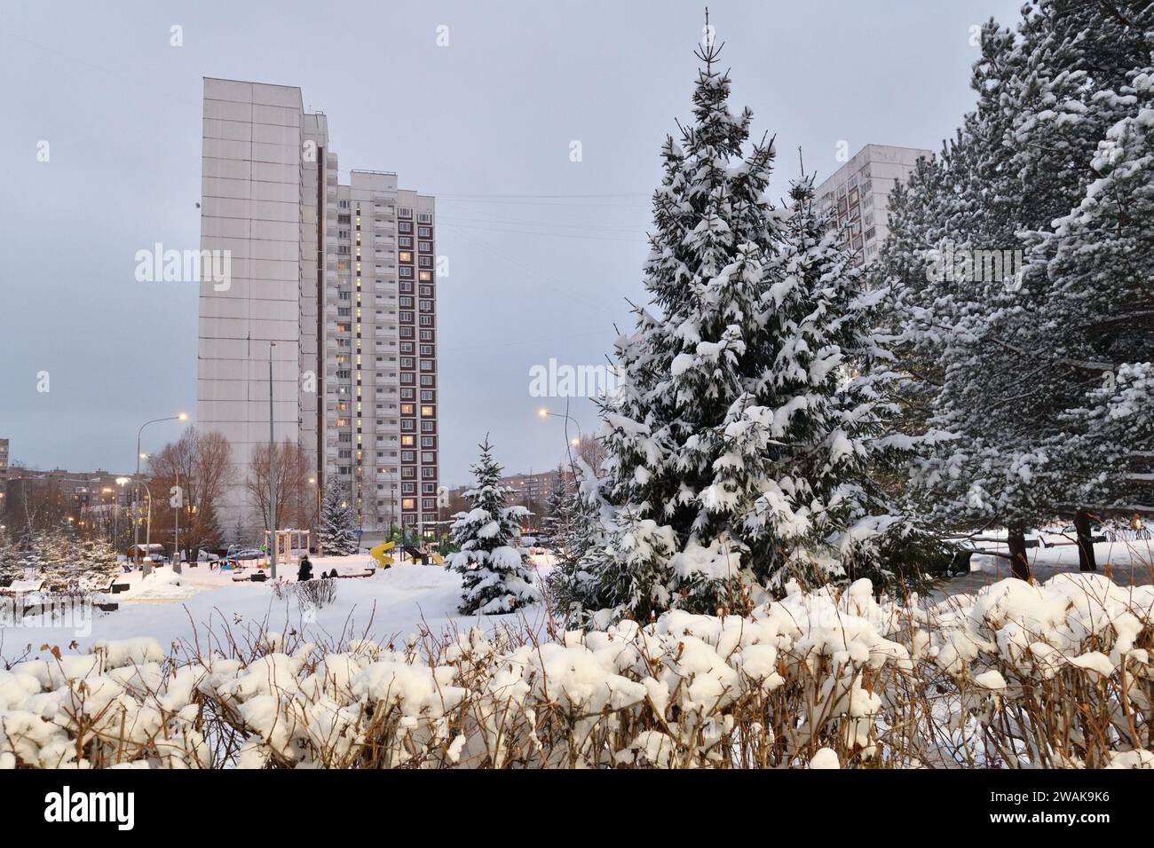 Allée enneigée dans le parc d'hiver à Moscou, Russie Banque D'Images