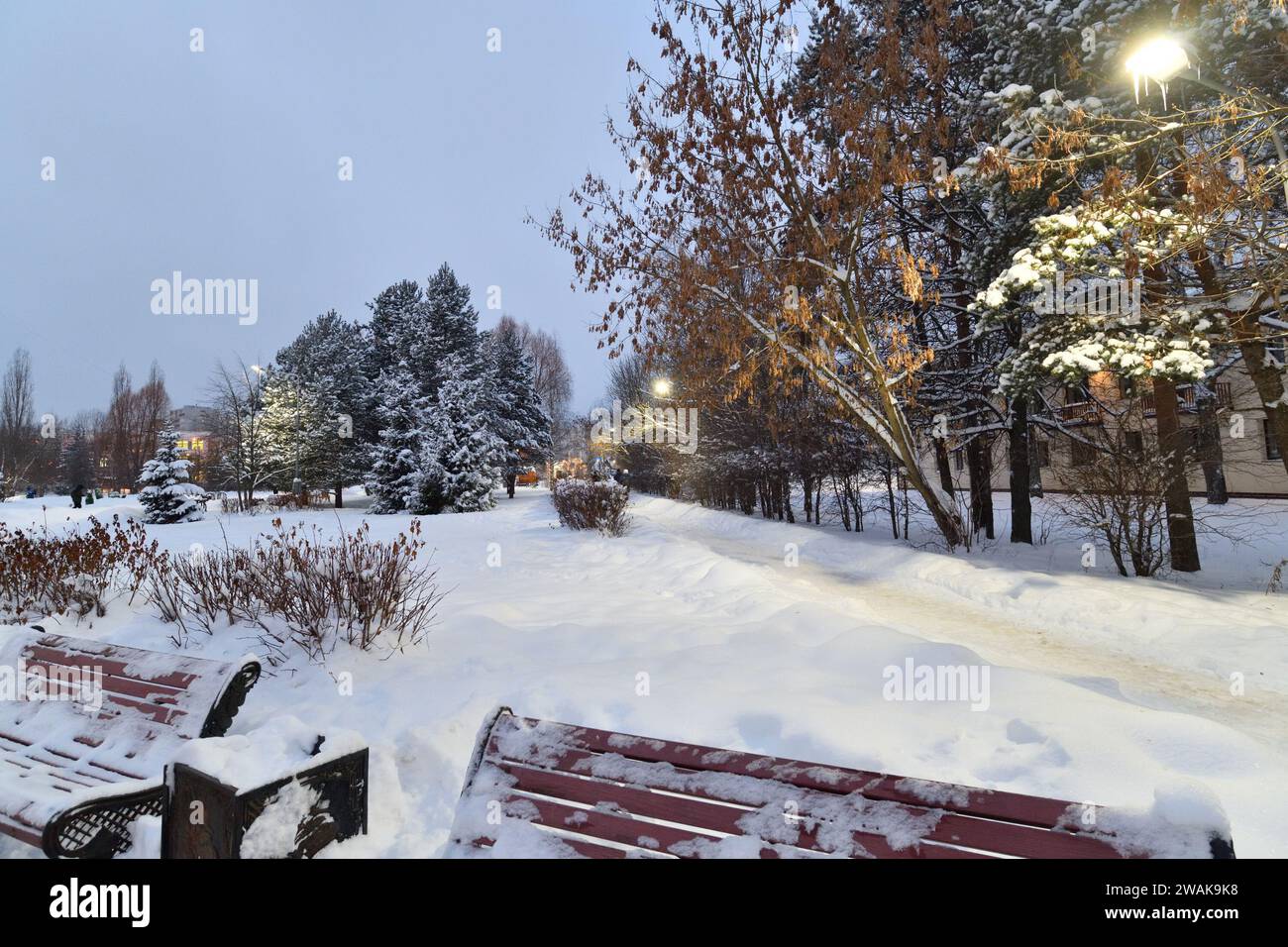 Allée enneigée dans le parc d'hiver à Moscou, Russie Banque D'Images