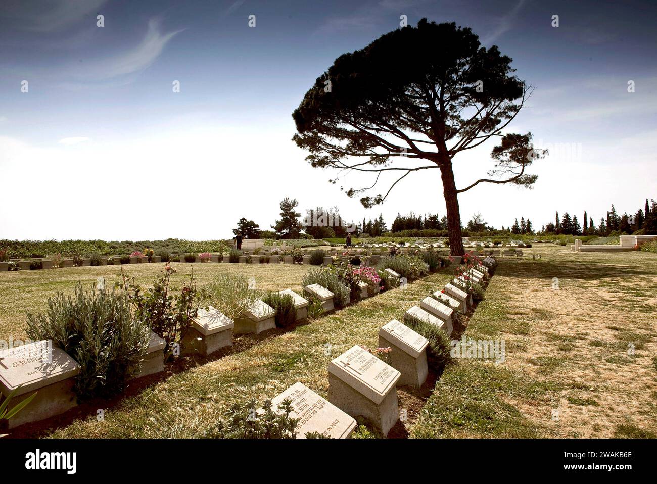 Cimetière des soldats australiens et néo-zélandais avec le Lone Pine sur la péninsule de Gallipoli en Turquie. vvbvanbree photographie Banque D'Images