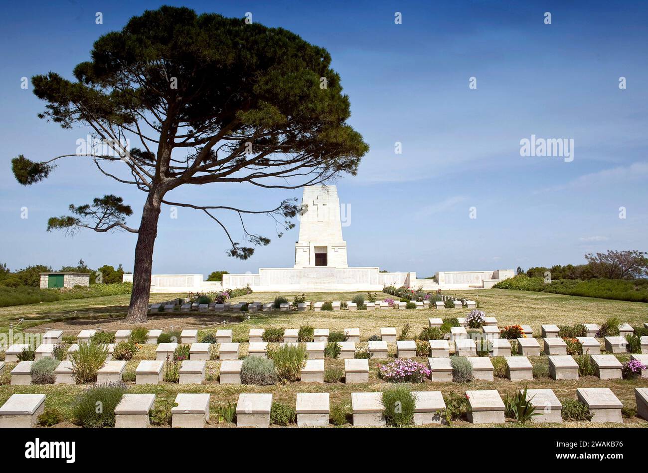 Cimetière des soldats australiens et néo-zélandais avec le Lone Pine sur la péninsule de Gallipoli en Turquie. vvbvanbree photographie Banque D'Images