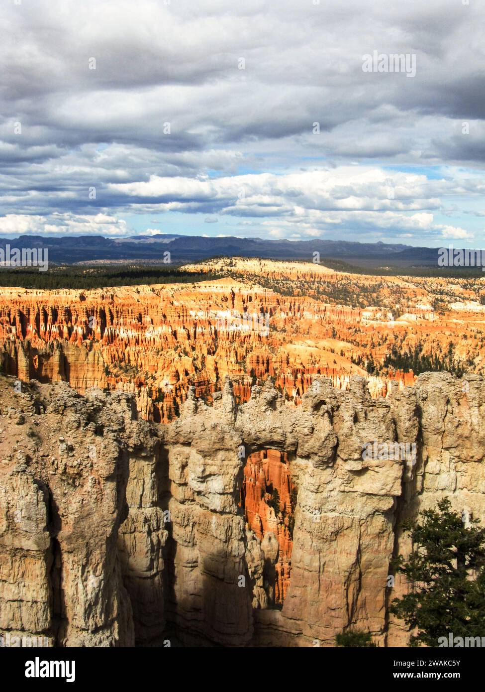 Une arche grisâtre et de couleur crème contre les pinacles multicolores bizarres et les hoodoos de Bryce Canyon dans l'Utah Banque D'Images