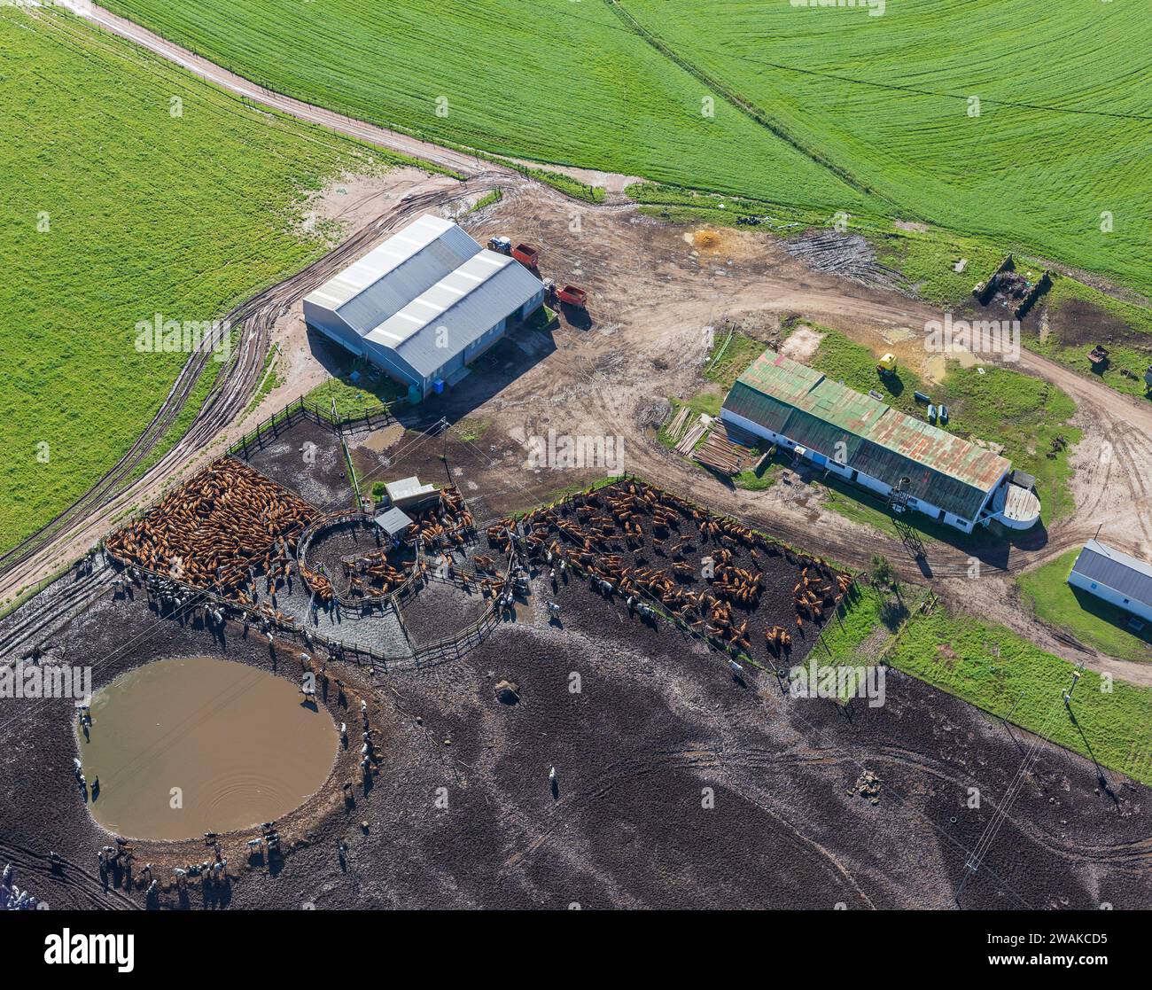 Photographie abstraite agricole dans la province du Cap occidental en Afrique du Sud. Banque D'Images