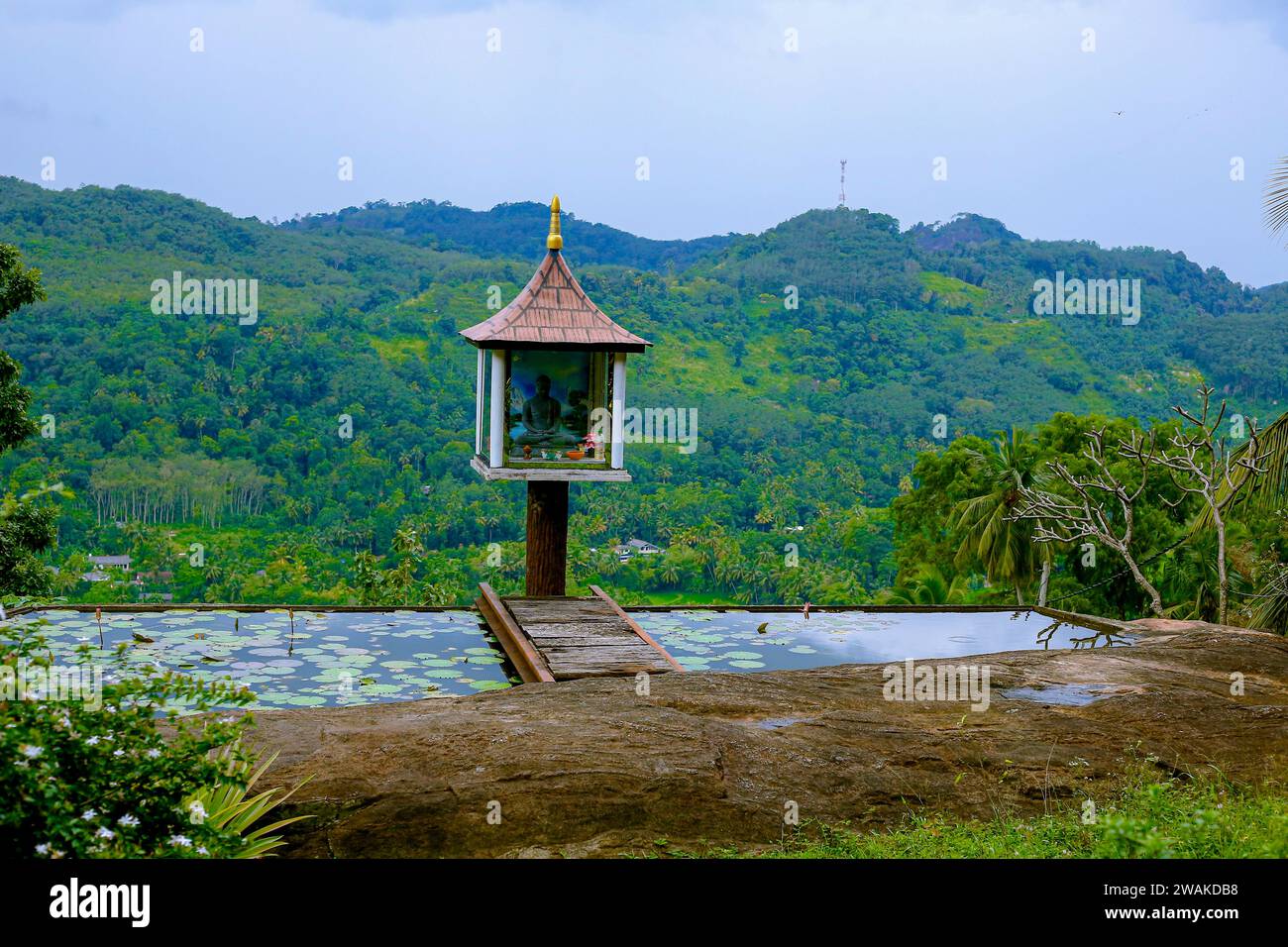 Une petite statue de Bouddha située au milieu d'un magnifique paysage vallonné à kandy, au sri lanka Banque D'Images