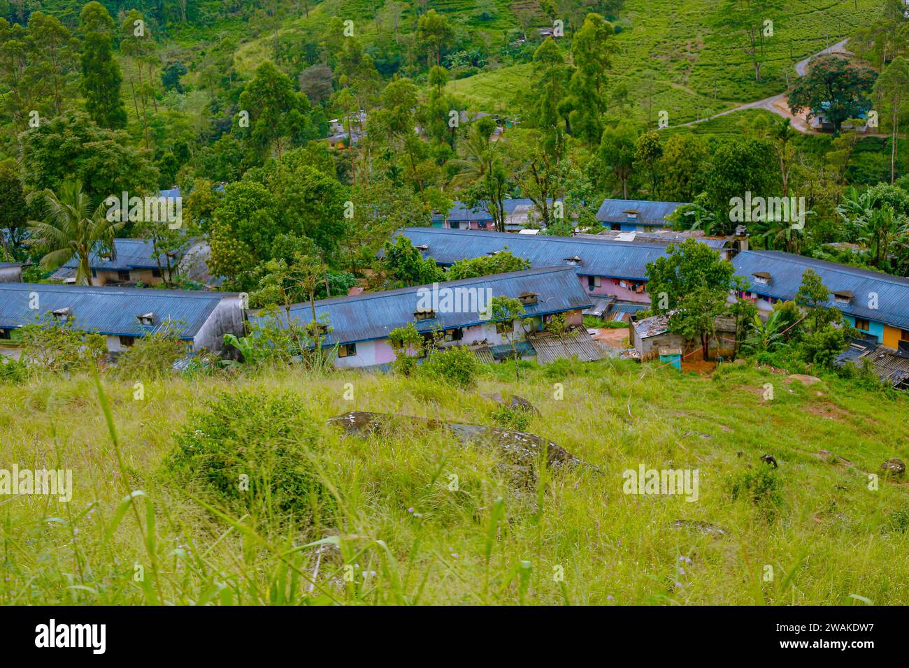 Quartiers de travail et paysage de plantation de thé vert à nuwara eliya sri Lanka Banque D'Images