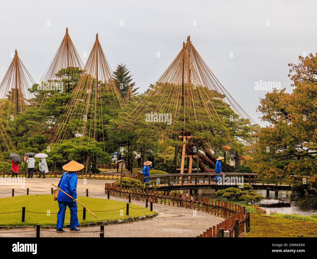 trois jardiniers aux chapeaux bleus uniformes et coniques traversent un pont dans les jardins de kenrokuen avec quatre grands arbres avec des cadres yukitsuro imposants en bambou Banque D'Images