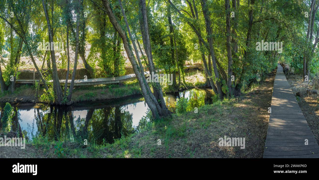 Passerelle le long de la rivière Gevora, la Codosera, Badajoz, Estrémadure, Espagne. Situation idyllique d'eaux cristallines et de forêts riveraines Banque D'Images