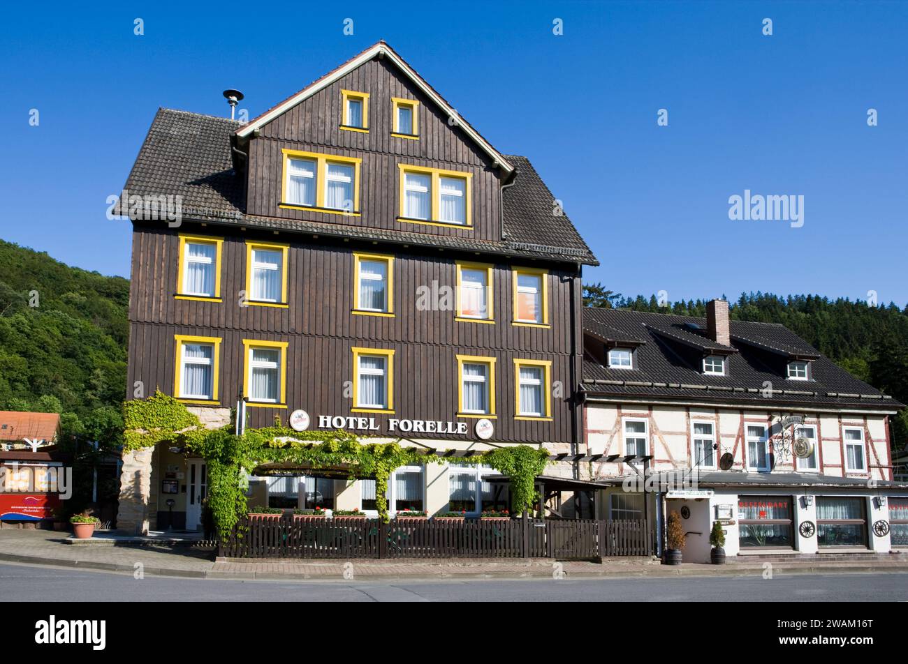 Village de Treseburg, vallée de Bodetal, district de Harz, Saxe-Anhalt, Allemagne, Europe Banque D'Images