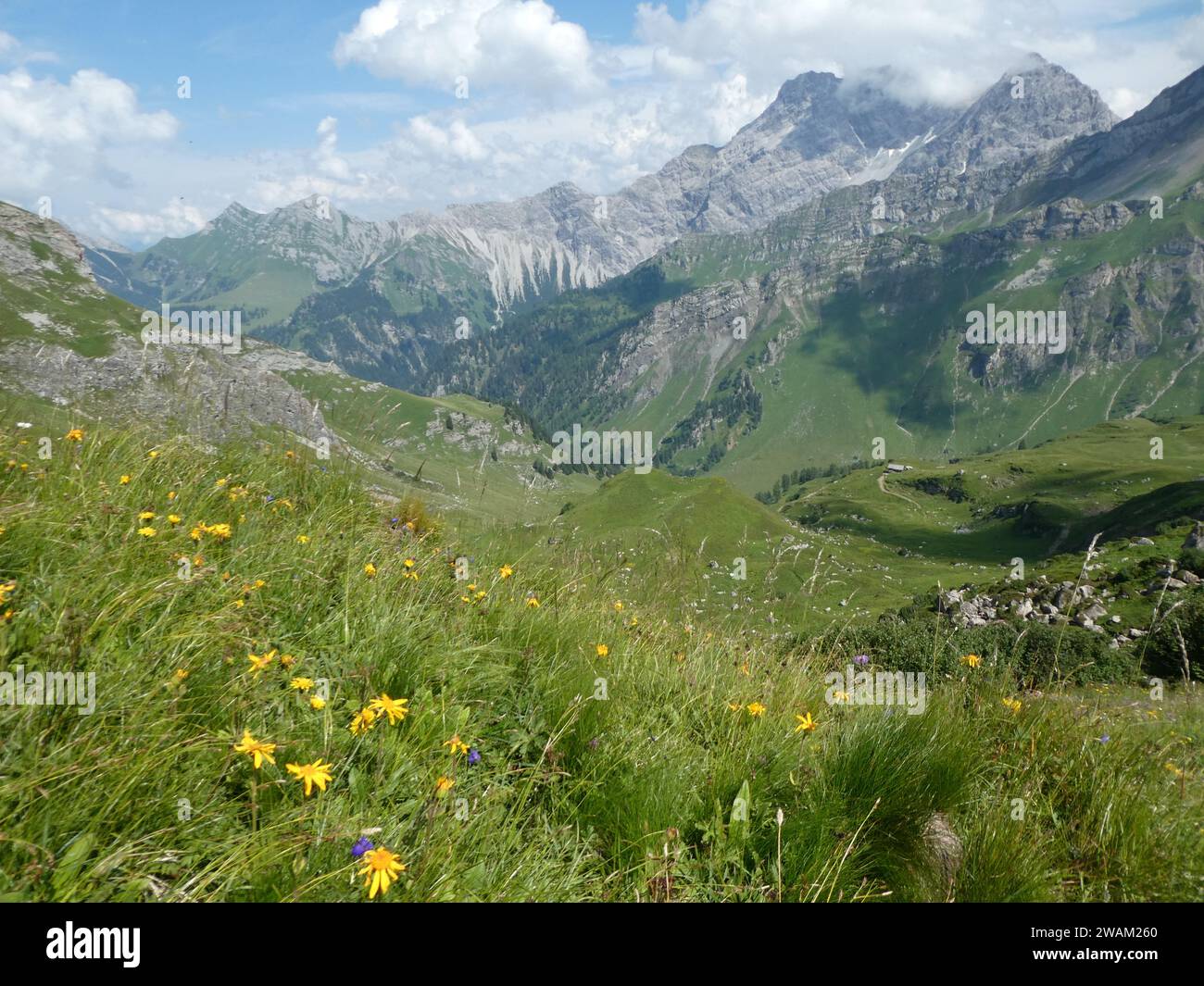 Vue panoramique en randonnée sur le sentier Fürstin Gina près de Malbun au Liechtenstein Banque D'Images