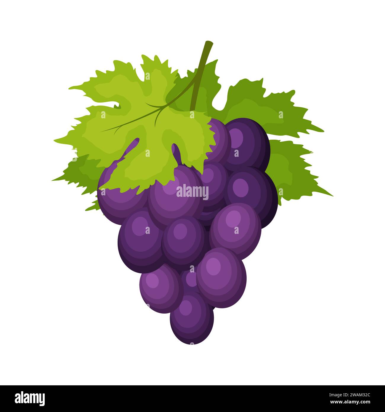 Grappe de raisins de vin avec des feuilles isolées sur fond blanc. Icône de raisin dans le style de dessin animé plat. Baies fraîches, matières premières fruits. Illustration vectorielle Illustration de Vecteur