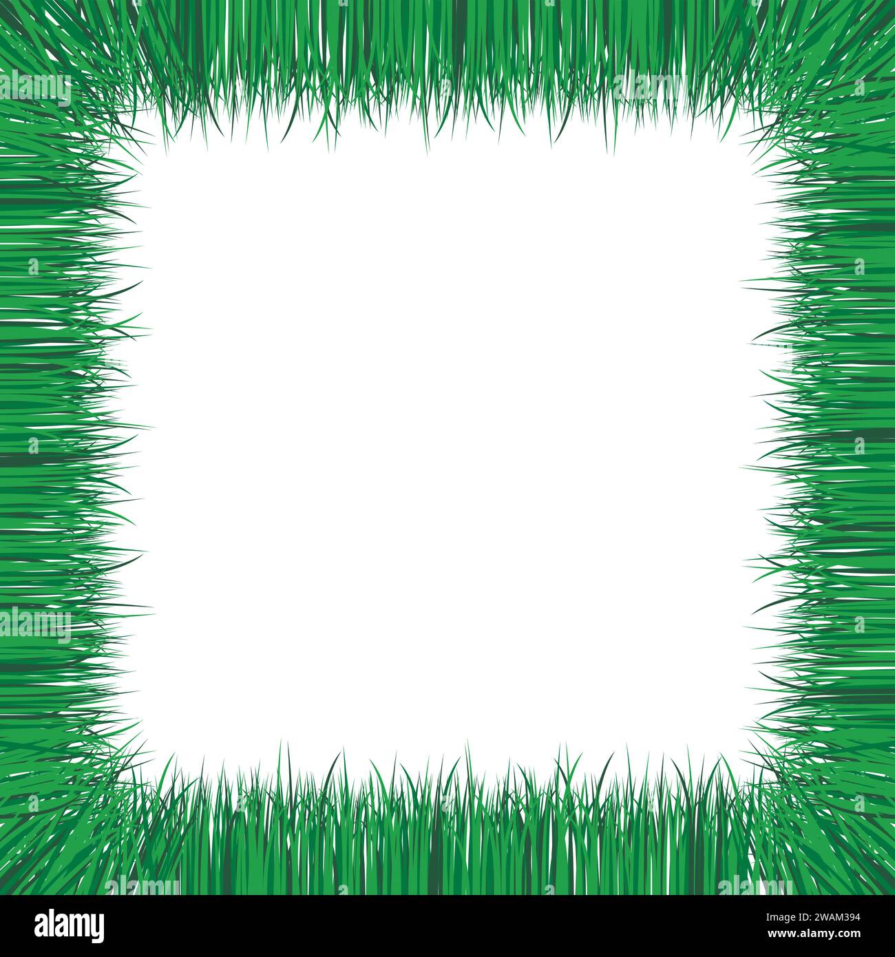 Cadre d'herbe verte réaliste isolé sur blanc. Illustration vectorielle. Illustration de Vecteur