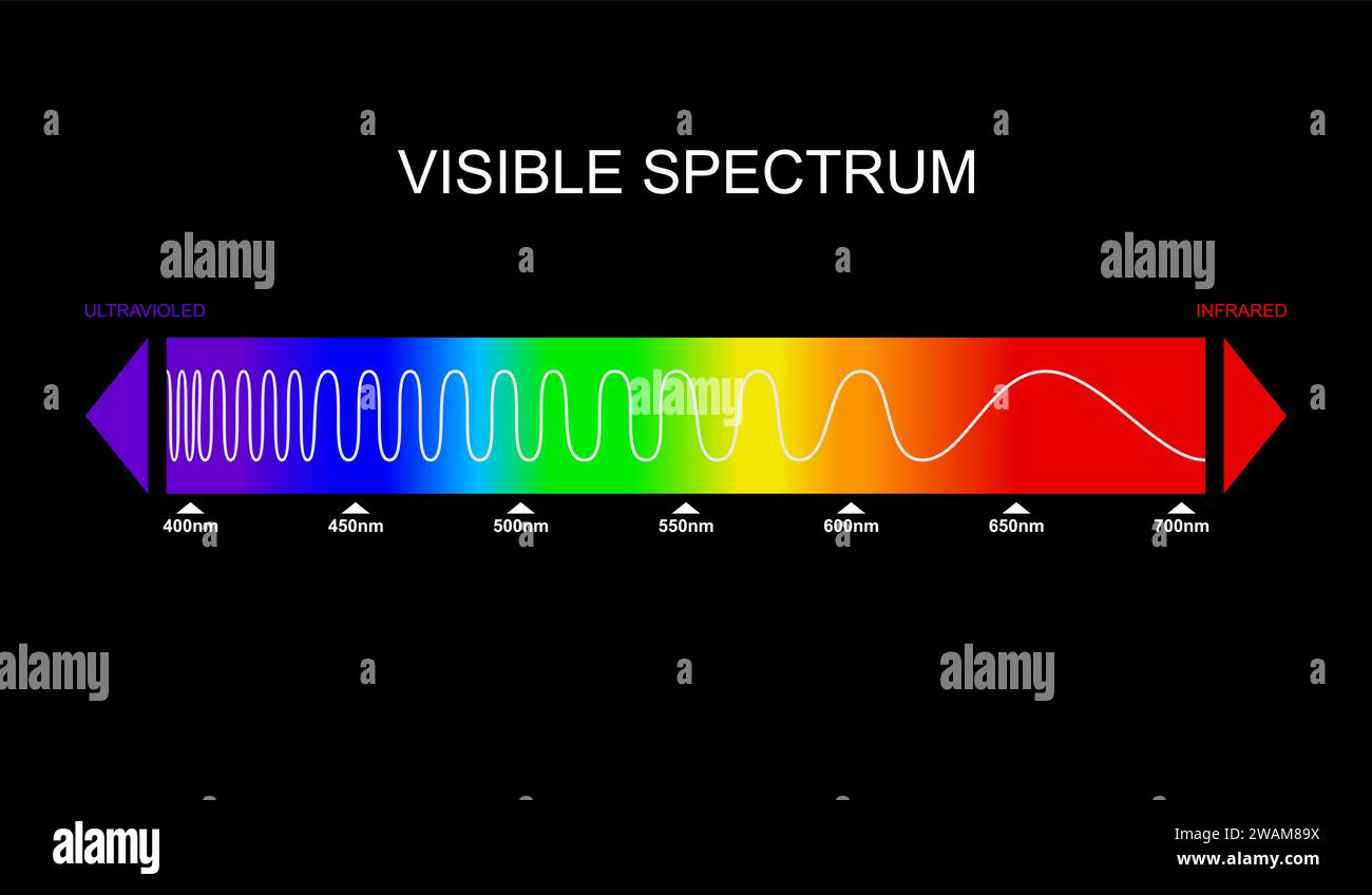 Spectre, diagramme de lumière visible. Partie du spectre électromagnétique visible à l'œil humain. Spectre électromagnétique de couleur, onde lumineuse Illustration de Vecteur