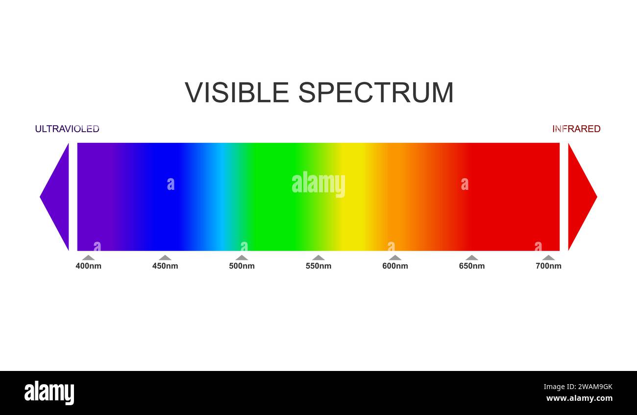 Spectre, diagramme de lumière visible. Partie du spectre électromagnétique visible à l'œil humain. Spectre électromagnétique de couleur, onde lumineuse Illustration de Vecteur