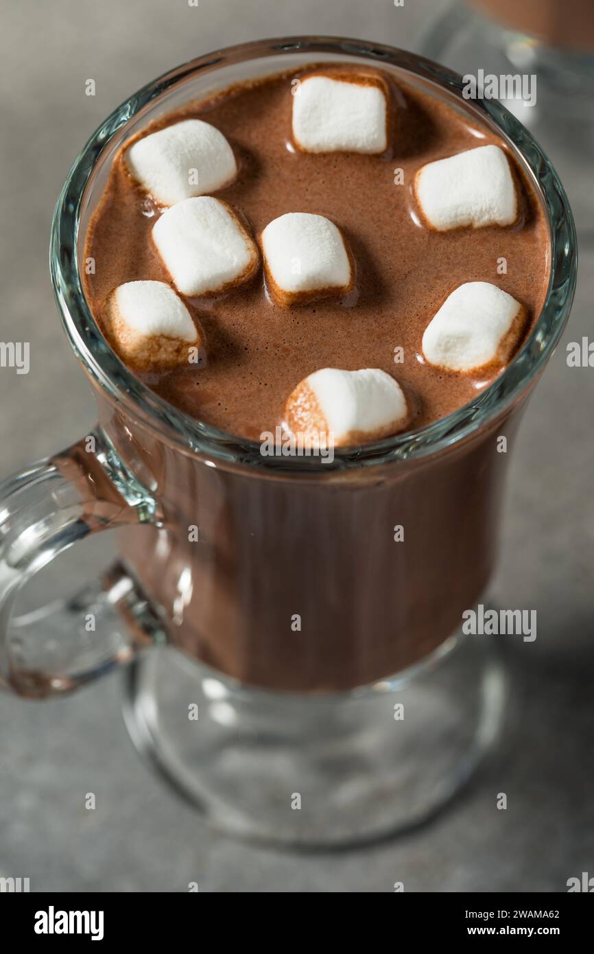Chocolat chaud au cacao chaud et boozy dans une tasse avec des guimauves Banque D'Images