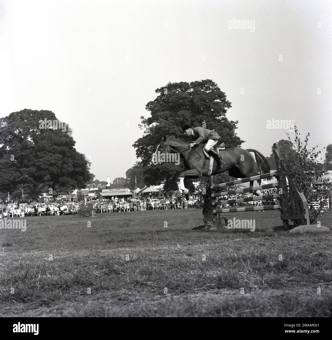 1964, historique, Peter Robeson sautant une clôture à l'événement de saut d'obstacles au Bucks County Show, Aylesbury, Angleterre, Royaume-Uni. Robeson est médaillé de bronze aux Jeux olympiques de Tokyo en 1964. Banque D'Images