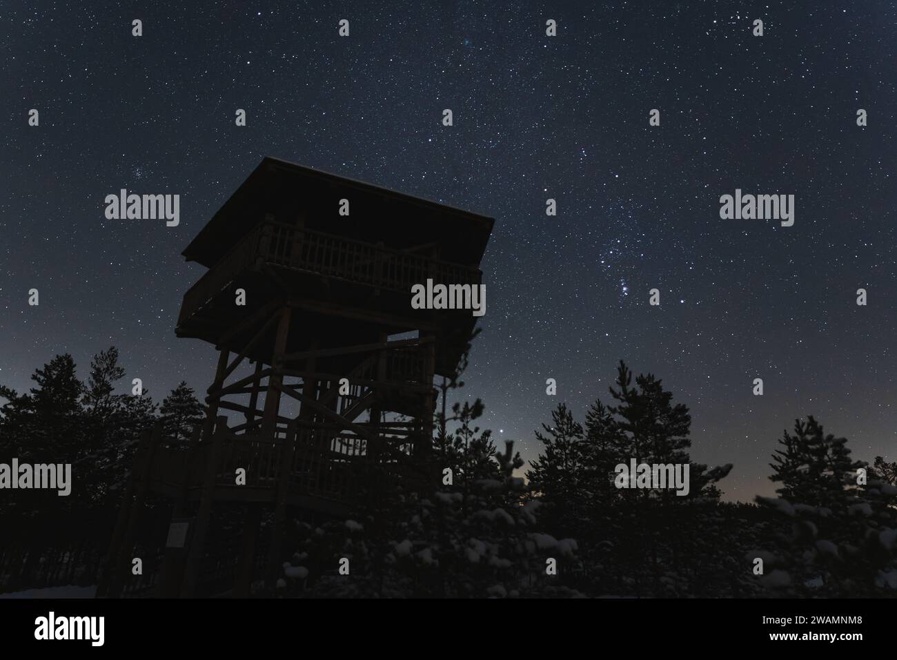 Scène de nuit, nature estonienne en hiver, tour d'observation sur le marais Viru et ciel étoilé clair. Photo de haute qualité Banque D'Images