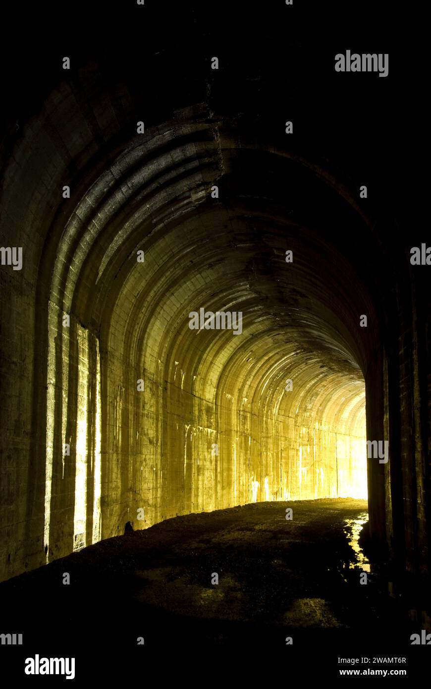 Tunnel 25, Hiawatha Rail Trail, St Joe National Forest, Idaho Banque D'Images