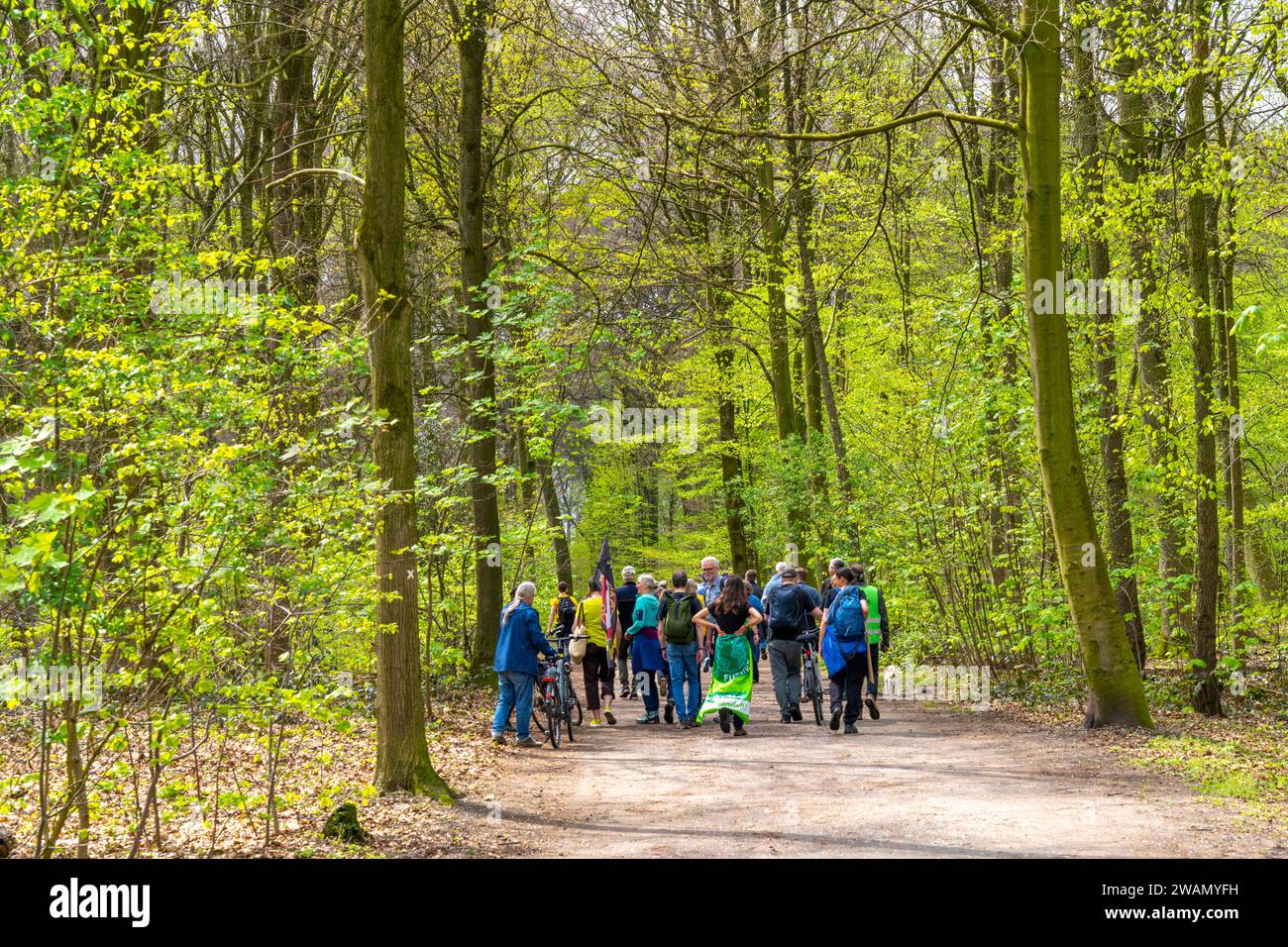 Promenade en forêt par des militants écologistes, le Sterkrader Wald à Oberhausen, à la jonction de l'autoroute Oberhausen, où les A2/A3A/A516 se rencontrent, il est à b Banque D'Images