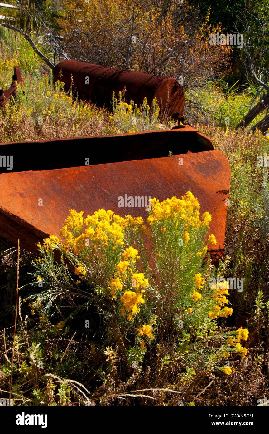 Artefact minier, site de Bayhorse Town, Land of the Yankee Fork State Park, Idaho Banque D'Images