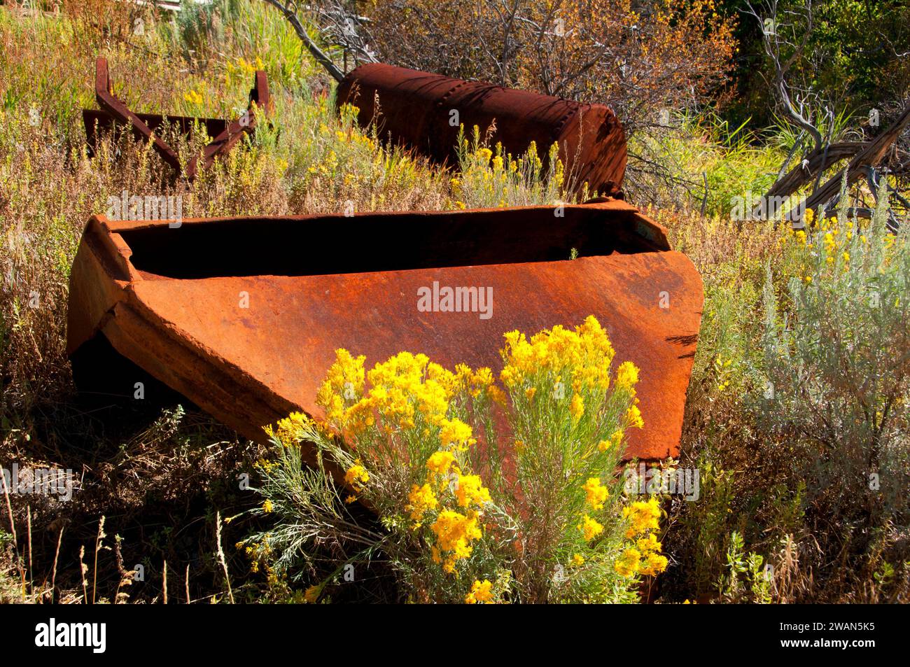 Artefact minier, site de Bayhorse Town, Land of the Yankee Fork State Park, Idaho Banque D'Images