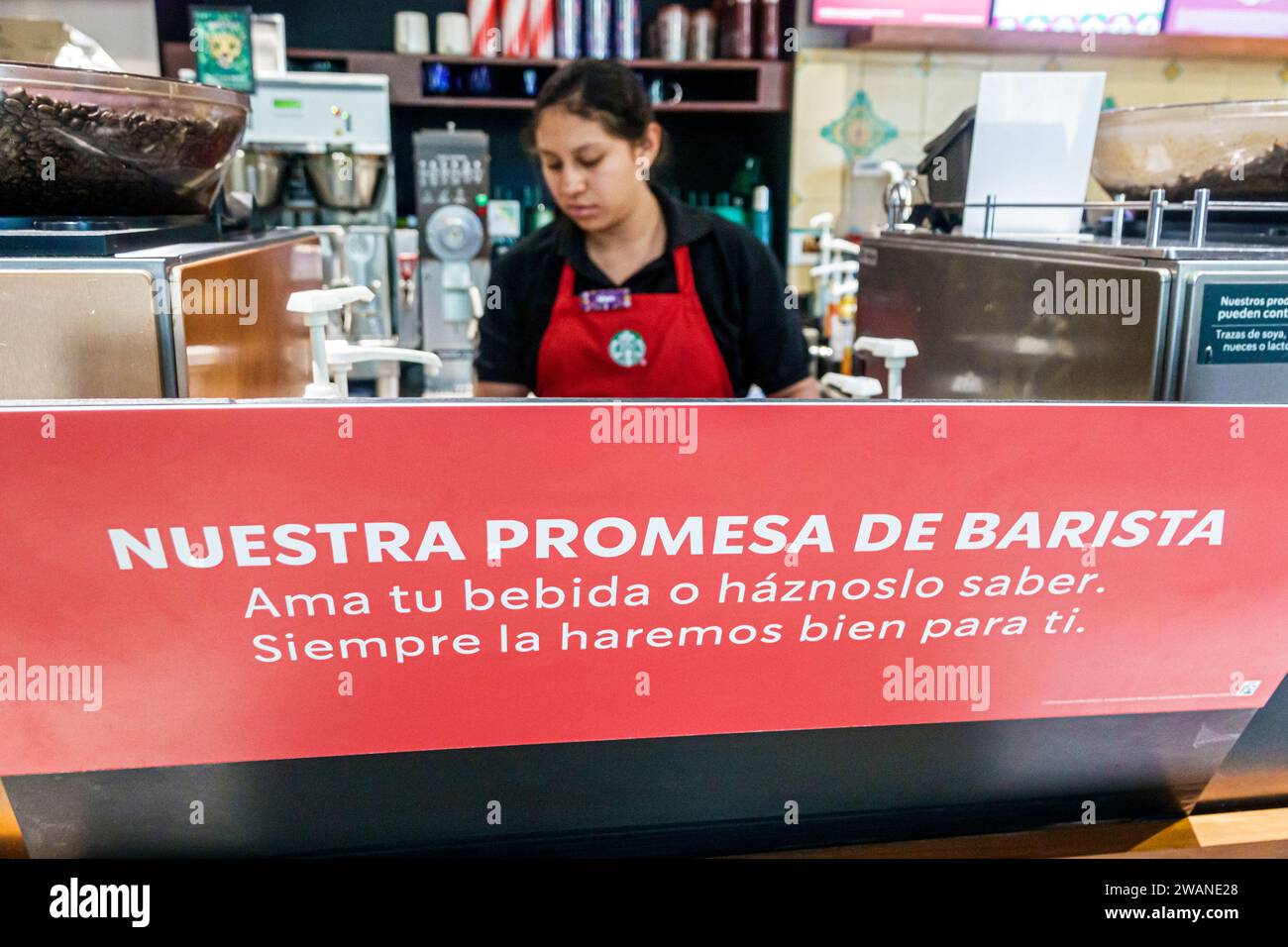 Merida Mexique, centro historico quartier historique central, Starbucks café barista, bonne promesse de service à la clientèle, femme femme femme femme femme femme, adulte, res Banque D'Images