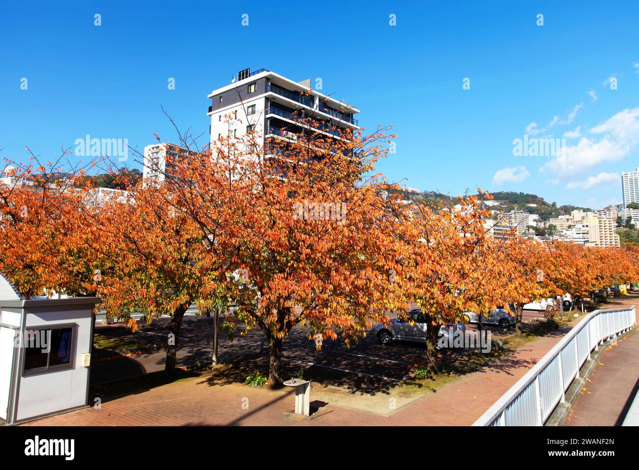 Parc aquatique Atami dans la ville d'Atami sur la péninsule d'Izu dans la préfecture de Shizuoka, Japon. Banque D'Images